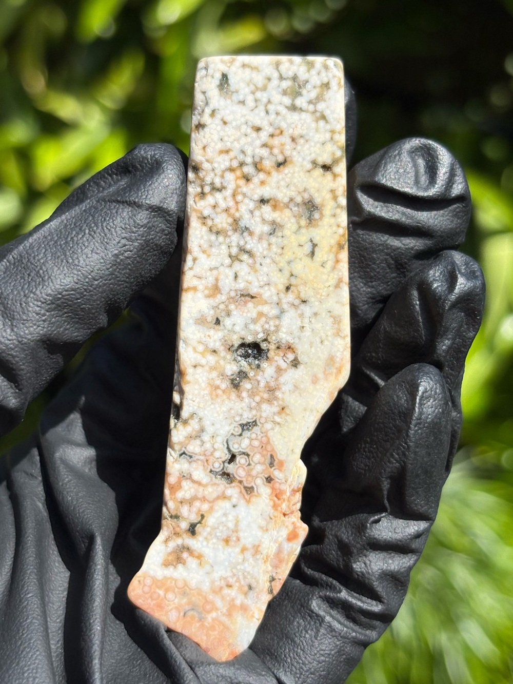 Ocean Jasper Crystal Freeform Slab - Polished Orbicular Jasper - Sea Jasper